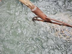 -姥家大锅台水库渔家