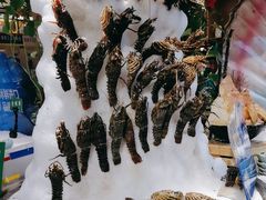 -亚马逊蒸汽活海鲜自助(LCM置汇旭辉广场店)