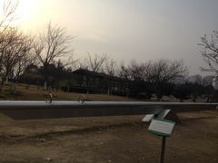 -白塘生态植物园