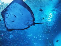 -波塞冬旅游度假区