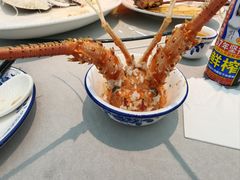 -皮记海鲜1995(寮步店)