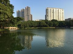 -广州都市观光巴士(粤陶巴)