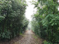 -缥缈峰景区