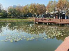 -金银湖国家城市湿地公园