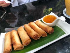 -Fern Forest Cafe