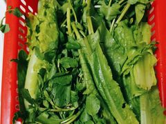 -源港渔村-中山脆肉鲩(博罗店)