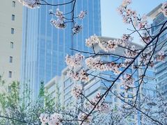 -西北湖绿化广场
