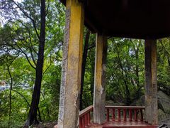 -花溪公园
