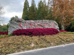 -东平国家森林公园