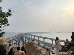 -天天渔港(杏林街店)