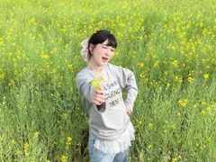 -长洲岛