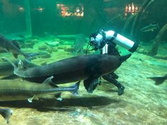 -华夏文旅海洋公园