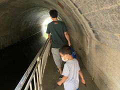 -白水寺森林公园
