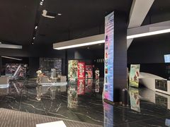 -奥斯卡升龙国际影城(RealD Cinema)