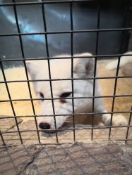 -酷嗒动物文化乐园(cutezoo西溪乐天城店)