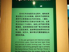 -大同煤炭博物馆