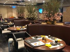 大堂-黑松白鹿(崇文门新活馆店)