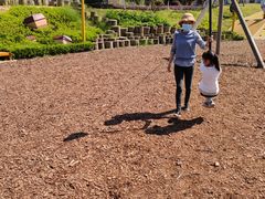 -铁山坪森林公园