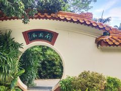 -深圳仙湖植物园