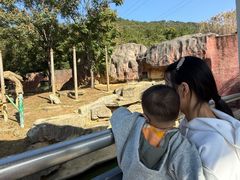 -无锡动物园·太湖欢乐园