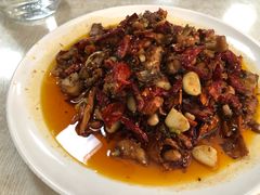 -马黑哥椒麻鸡(清江山水店)