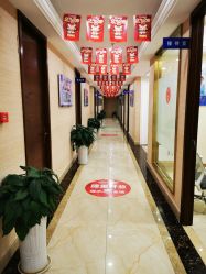 -碧莲盛·不剃发植发