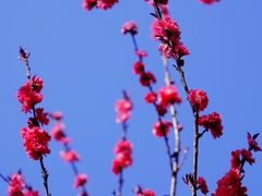 -高荡千年布依古寨旅游景区