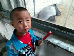 -石家庄市动物园