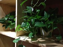 -卓美LAMDA戏剧演讲与培训中心(亚运村店)