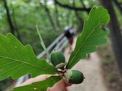 -云丘山景区