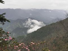 -大九湖