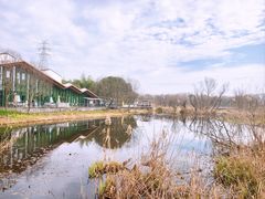 -西湖风景区-江洋畈生态公园
