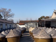 -苏州市吴中区光福窑上花果蜜饯厂