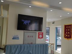 -德元·美联众合24小时动物医院(总院)