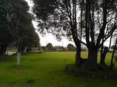 -上海多利农业发展有限公司