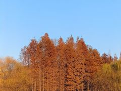 -云龙湖旅游景区