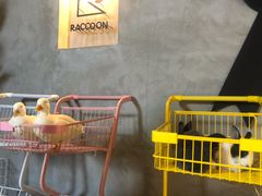 -浣熊柯尔鸭土拨鼠·电玩咖
