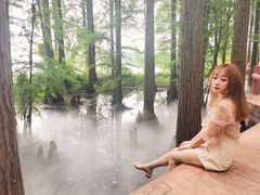 -东湖落雁景区