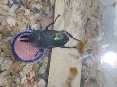 -三旗百汇商品城