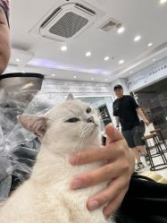 -镁连社·美联社