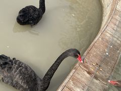 -祥源·阜阳生态乐园