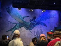 -奥兰多迪士尼动物王国乐园