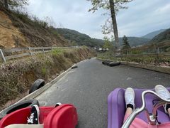-龙岩森林水乡景区