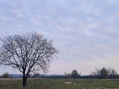 -汉长安城未央宫国家考古遗址公园