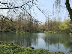 -西湖外事游船(花港观鱼码头)