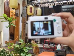 -猫岛主趣味餐厅(鼓浪屿店)