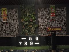 -CMC大光明影城(莲花店)