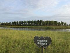 景点-春花秋色城市公园