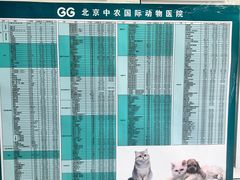 -中农国际动物医院24小时·猫科·骨科·急重症中心