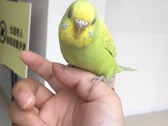 -怪兽屋·羊驼·猫咖·狗咖(俊华广场店)